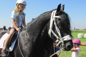 6. Konjeniški tabor konjeniškega društva Središče ob Dravi 6